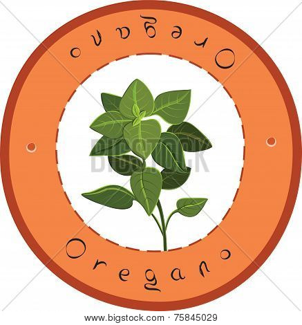 Fresh Oregano