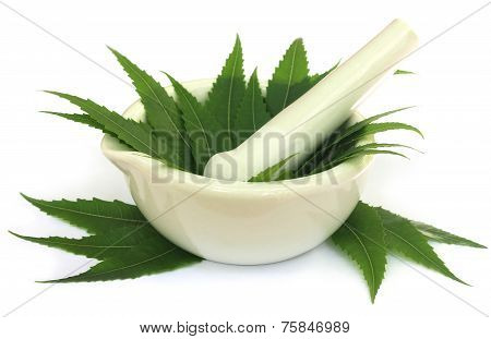 Mortar And Pestle With Medicinal Neem Leaves