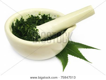 Mortar And Pestle With Medicinal Neem Leaves