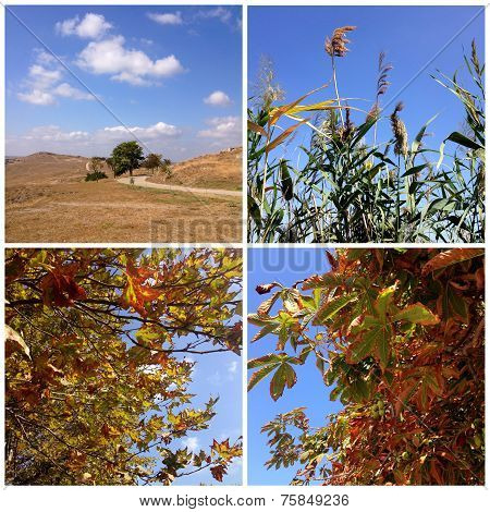 Collage of Kerch nature, Crimea