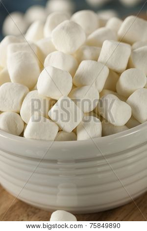 White Mini Marshmallows In A Bowl