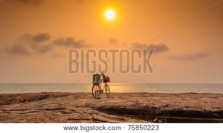 Beautiful Bike Silhouette