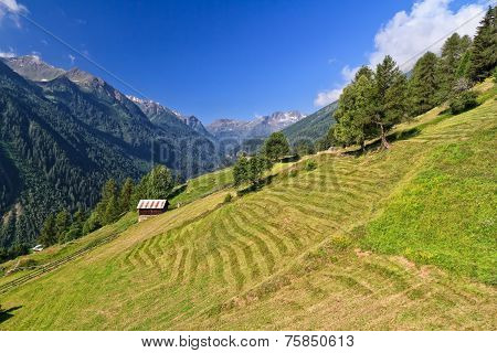 Trentino - Pejo Valley