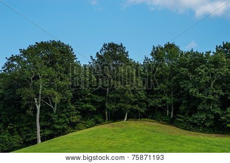 Summer Hill