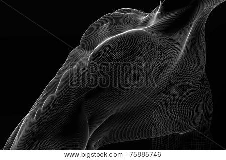 Male Body Mesh