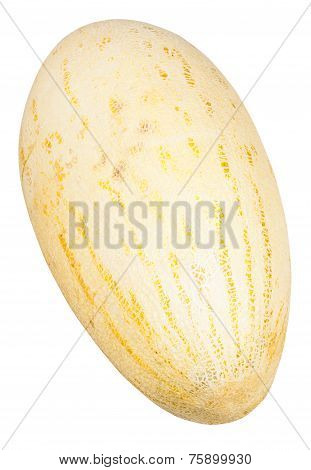 Ripe Uzbek-russian Melon Isolated On White