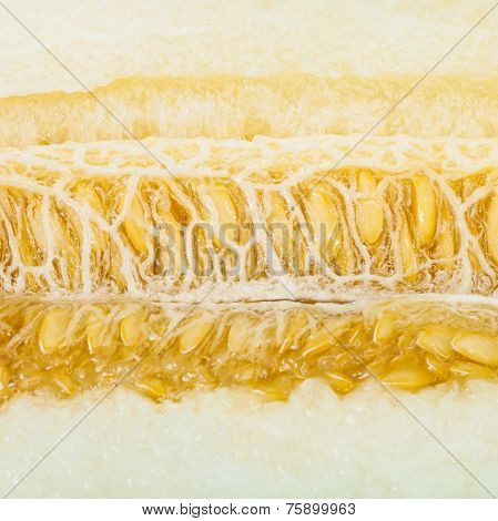 Seeds Of Uzbek-russian Melon Close Up