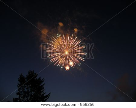 Fuochi d'artificio a mezzanotte