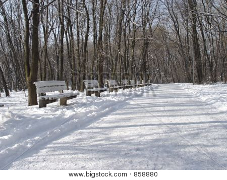 snowy way 2