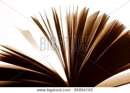 Open old book, pages fluttering. Fantasy, imagination, education concept. Vintage mood.