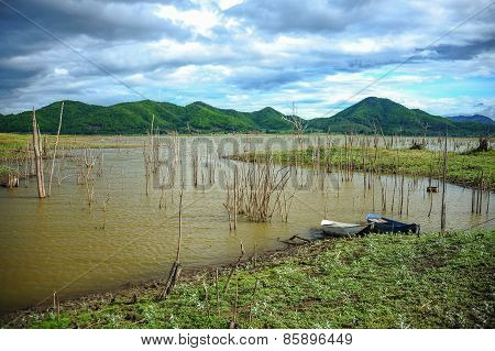 Rural Swamp