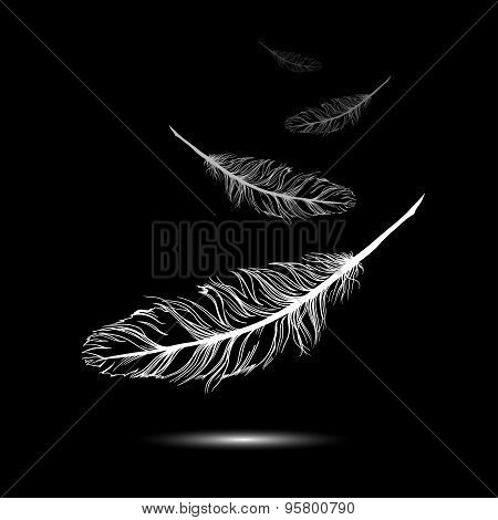 flying feathers with black background. EPS 10. Vector