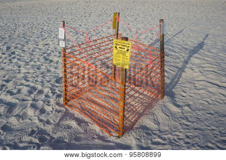 JACKSONVILLE BEACH, FL. USA - JULY 11, 2015: A Loggerhead Sea Turtle nest on Jacksonville Beach. Florida is the second largest nesting area in the world for the Loggerhead Sea Turtle.