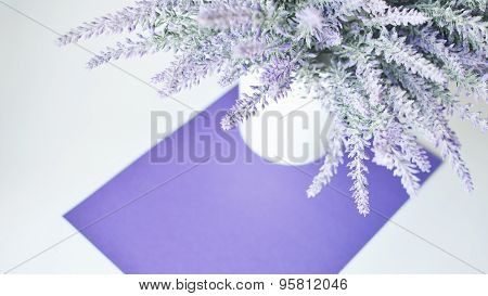 A lavender bouquet in a vase on a white violet background