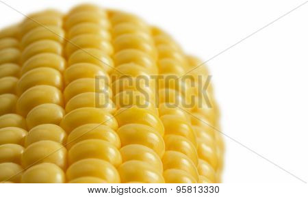 Closeup sweetcorn cob on white
