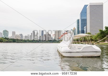Paddle Boat