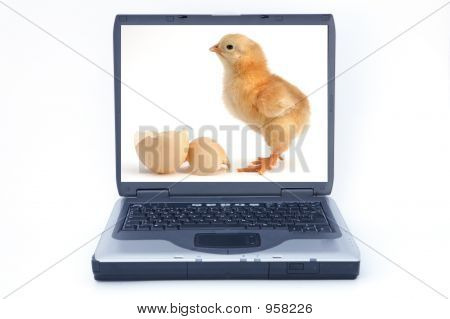 Portable Computer