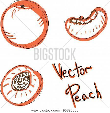 Vector Peach