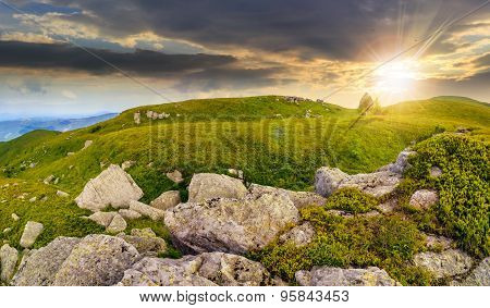 Trees On Hillside Among Huge Boulders At Sunset