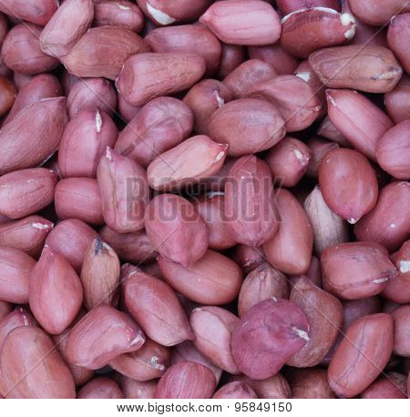 Arachis Background