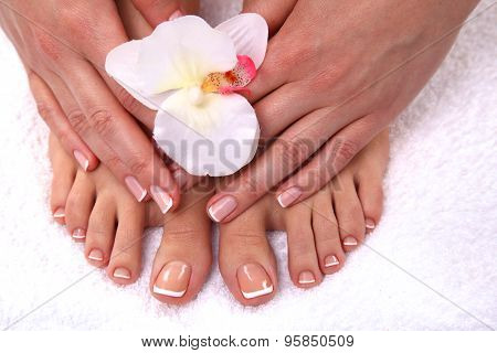 Beautiful feet with perfect spa french nail pedicure