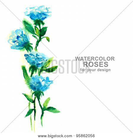 blue roses