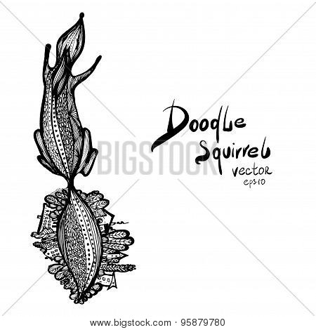 Vector Doodle squirrel