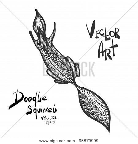 Vector Doodle squirrel
