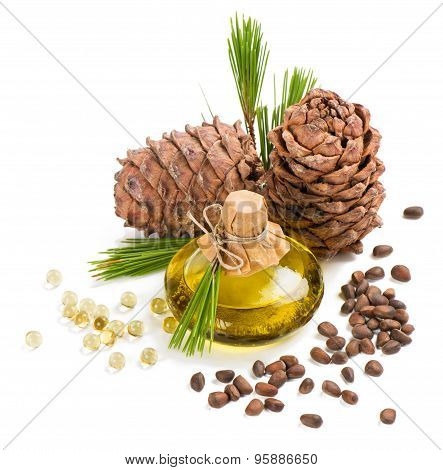 Cedar Pine Nuts And Oil