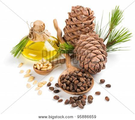 Products Of Siberian Cedar