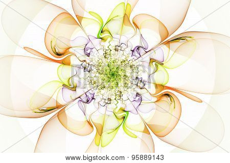 Gentle And Soft Fractal Flower