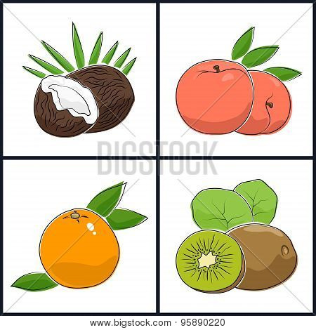 Grapefruit ,peach,kiwifruit, Coconut