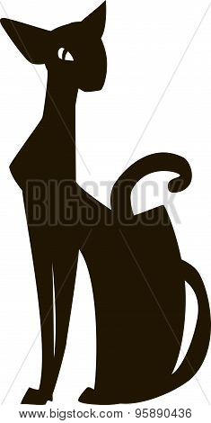 Black Elegant Cat