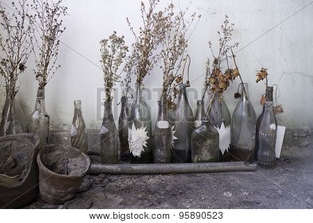 Gallary Old Glass Retro