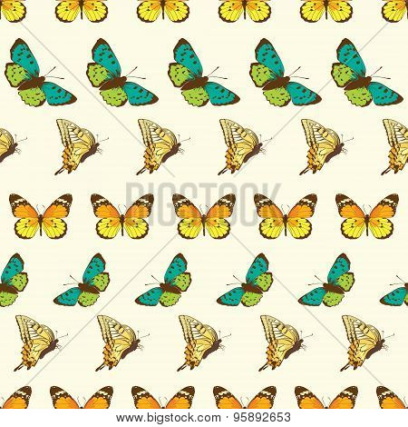 Vector Butterflies Stripes Seamless Pattern
