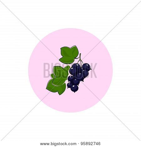 Icon Colorful Blackcurrant