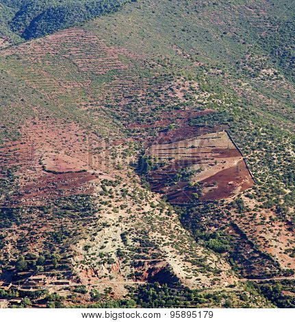 The Dades Valley In Atlas Moroco Africa Ground Tree  And Nobody