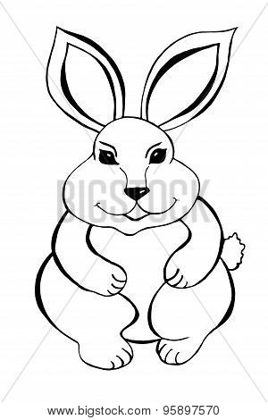 Rabbit Sitting