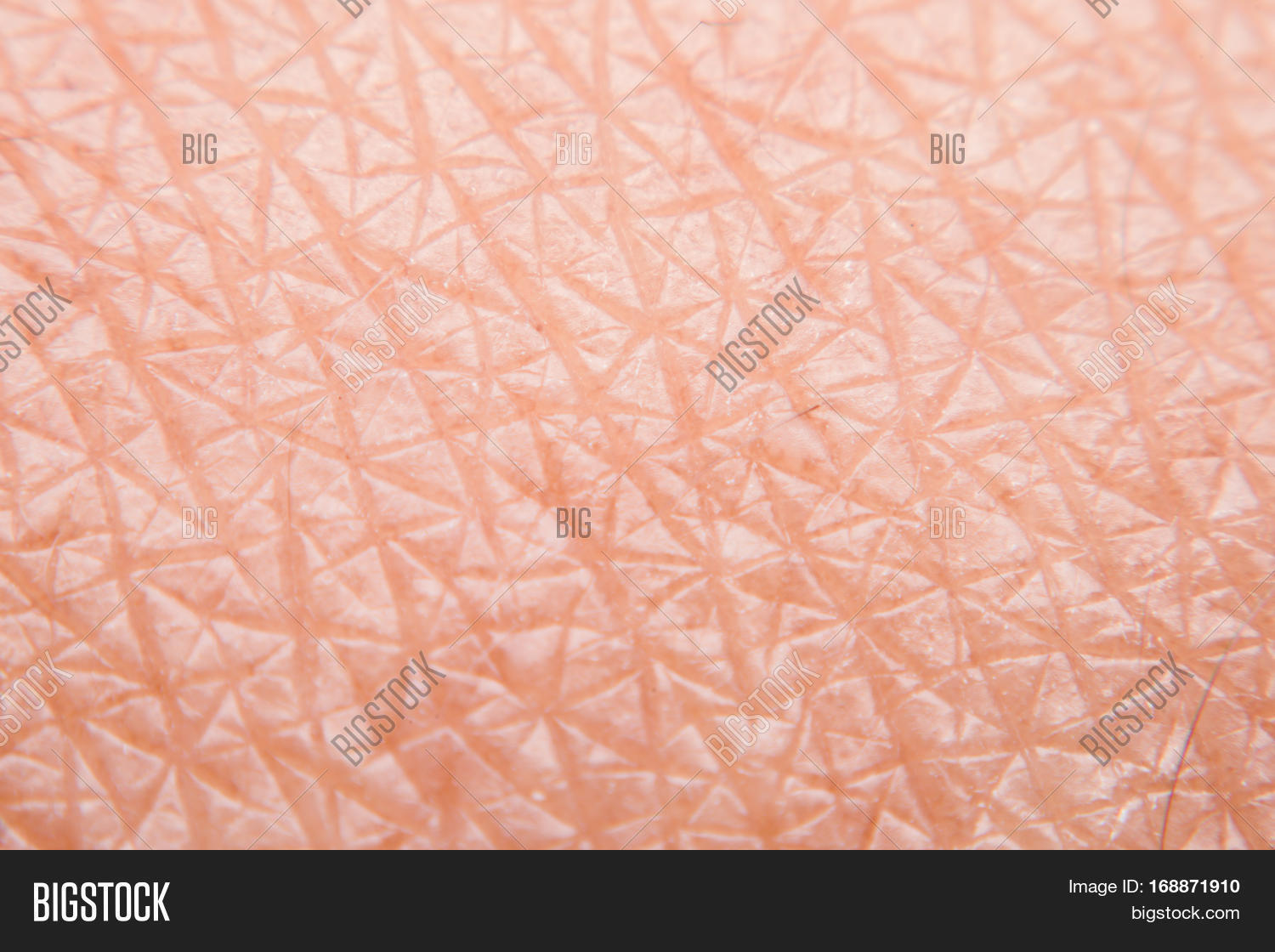 Human Skin Texture Image & Photo (Free Trial) | Bigstock