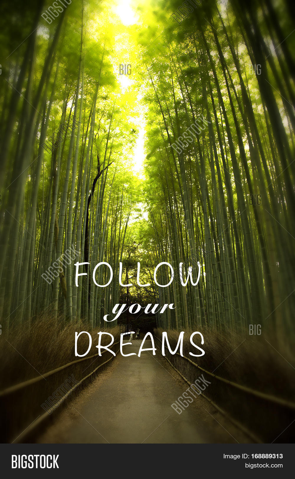 Inspirational Quote Image & Photo (Free Trial) Bigstock