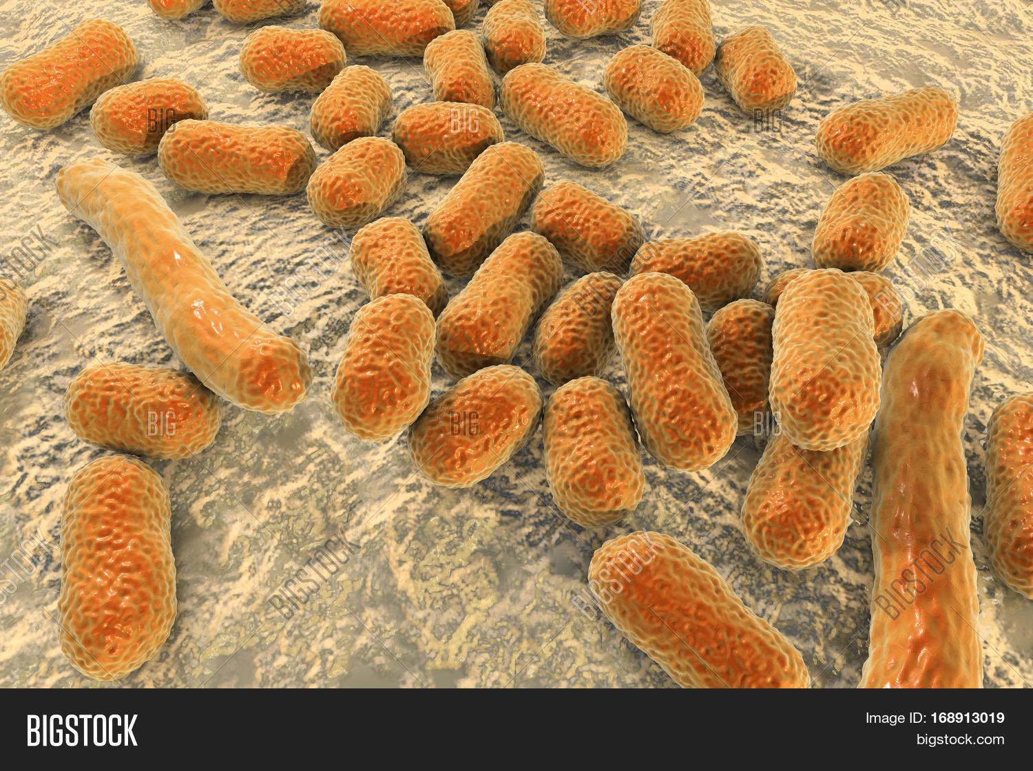 Bacterium Image & Photo (Free Trial) | Bigstock