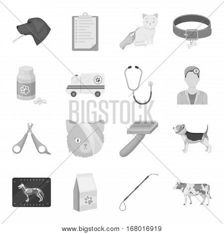 Veterinary clinic set icons in monochorme design. Big collection of veterinary clinic vector symbol stock illustration