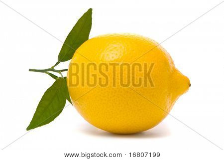Citron s čerstvých listů. Makro snímek. Studio bílé pozadí.