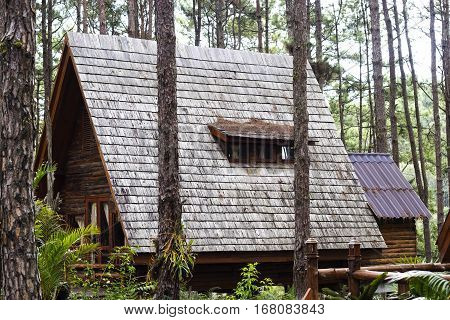 Wooden old retro style roof texture on old house and windows.inforest.