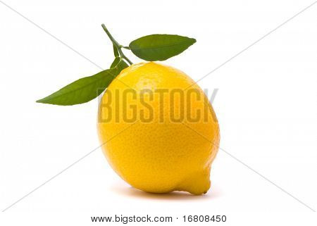 Citron s čerstvých listů. Makro snímek. Studio bílé pozadí.