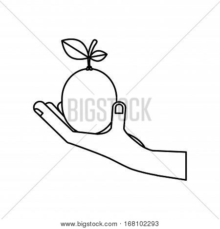 hand with fruit icon vector illustration graphic design