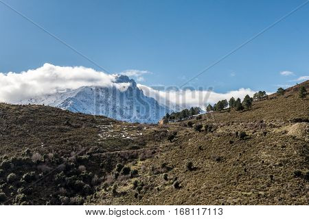 Small stone hut standing next to a small group of fir trees on a ridge in the Balagne region of Corsica with a snow covered Monte Padru in the background
