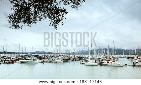 Sea marina in the rain. Pier with yachts