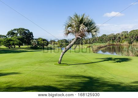 Golf Course Southbroom