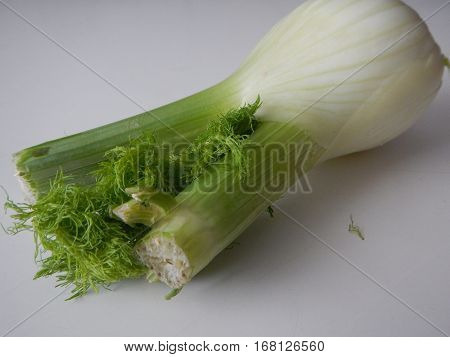 Piece Of Fresh Green Fennel